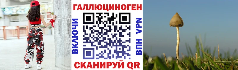 Галлюциногенные грибы GOLDEN TEACHER  купить   Тарко-Сале 